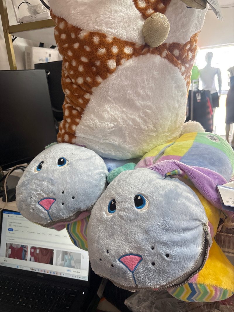 Peluche